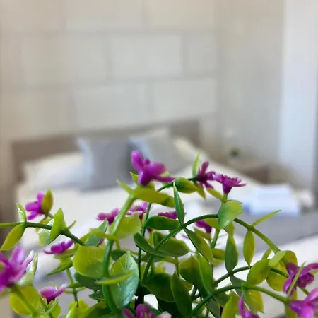 Apartament Con Vista Citta A Centro *